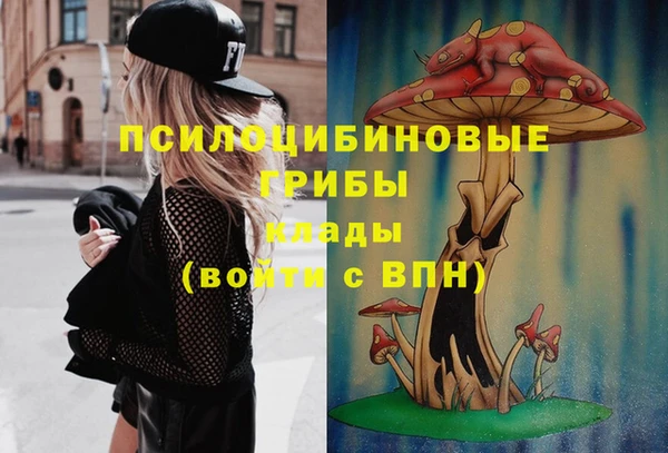 наркотики Новодвинск