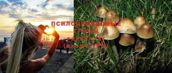 амфетамин Новозыбков