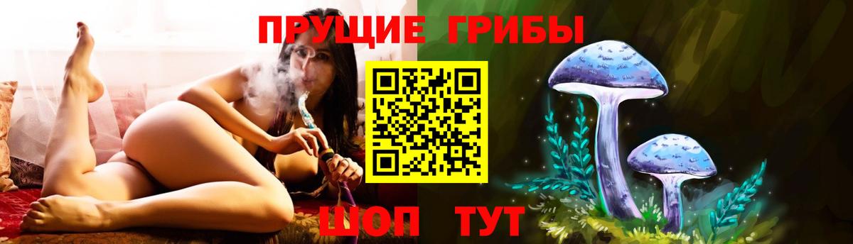 Галлюциногенные грибы Psilocybine cubensis Красноперекопск