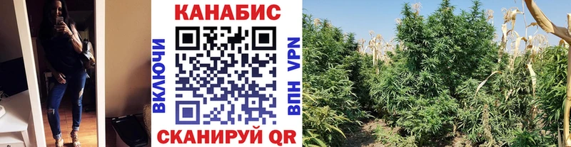 Бошки марихуана марихуана  Красноперекопск 
